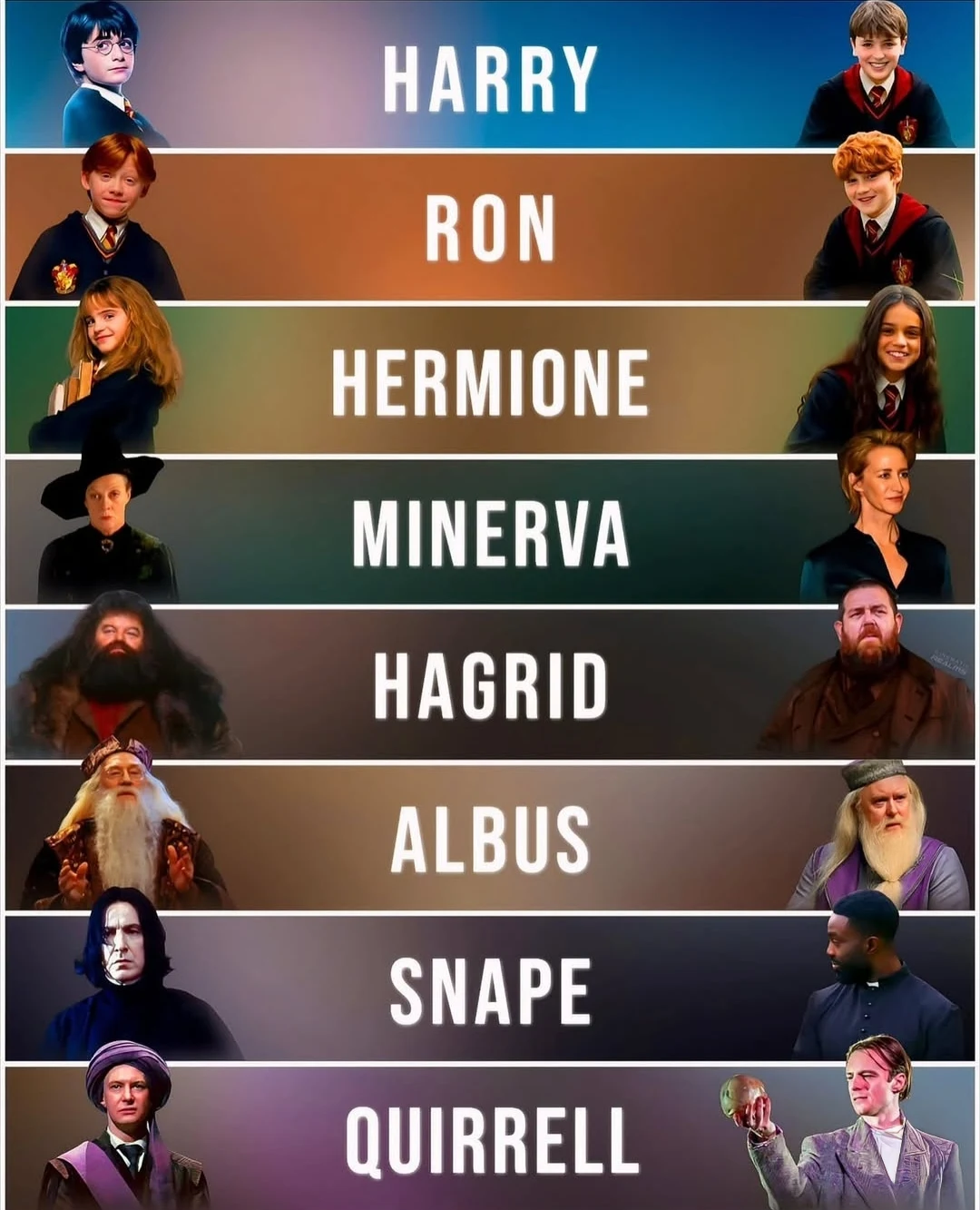 Harry potter HBO series cast